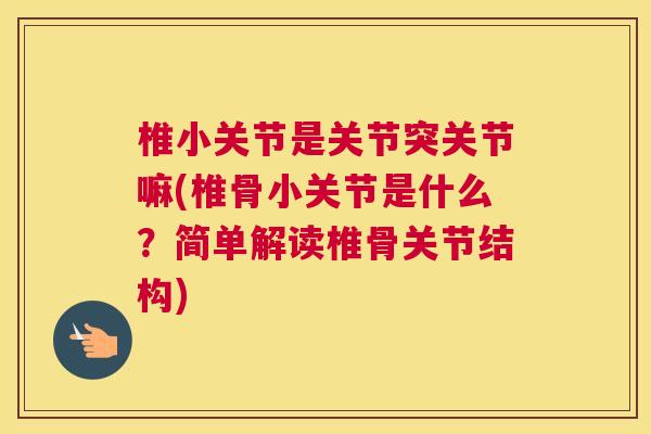 椎小关节是关节突关节嘛(椎骨小关节是什么？简单解读椎骨关节结构)