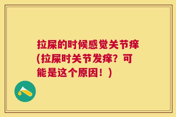拉屎的时候感觉关节痒(拉屎时关节发痒?可能是这个原因!) 拉屎的时候感觉关节痒(拉屎时关节发痒?可能是这个原因!)