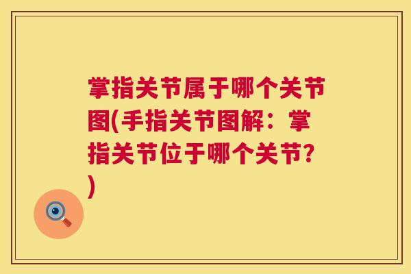 掌指关节属于哪个关节图(手指关节图解:掌指关节位于哪个关节?)