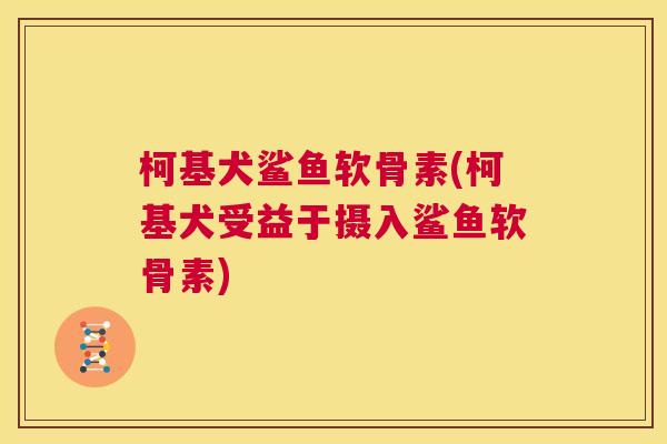 柯基犬鲨鱼软骨素(柯基犬受益于摄入鲨鱼软骨素)