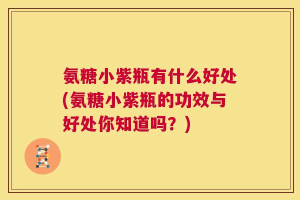 氨糖小紫瓶有什么好处(氨糖小紫瓶的功效与好处你知道吗？)