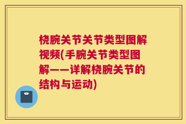 桡腕关节关节类型图解视频(手腕关节类型图解——详解桡腕关节的结构与运动)