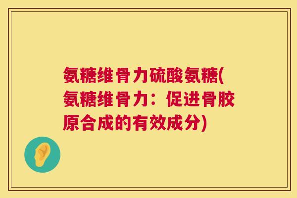 氨糖维骨力硫酸氨糖(氨糖维骨力:促进骨胶原合成的有效成分)