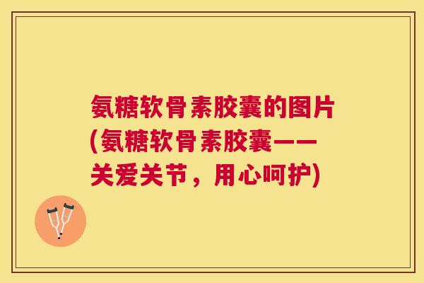 氨糖软骨素胶囊的图片(氨糖软骨素胶囊——关爱关节,用心呵护)