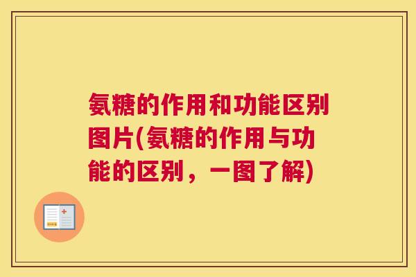 氨糖的作用和功能区别图片(氨糖的作用与功能的区别,一图了解)