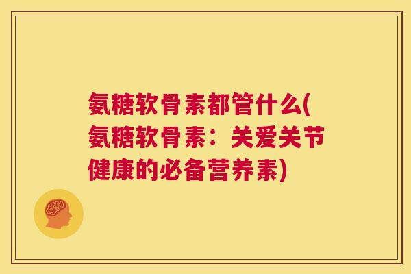 氨糖软骨素都管什么(氨糖软骨素:关爱关节健康的必备营养素)