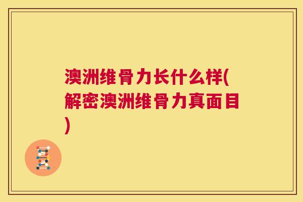 澳洲维骨力长什么样(解密澳洲维骨力真面目)