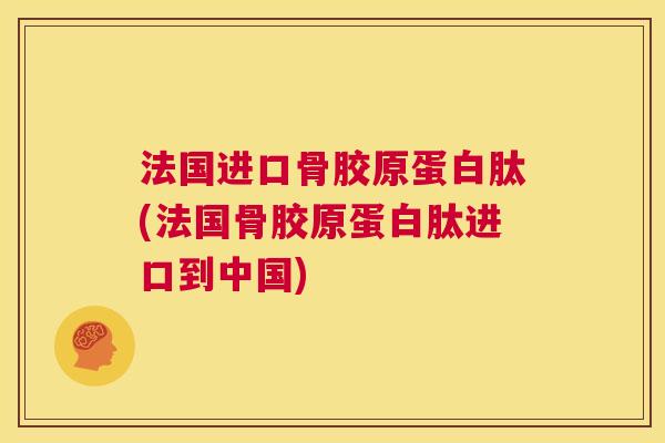 法国进口骨胶原蛋白肽(法国骨胶原蛋白肽进口到中国)