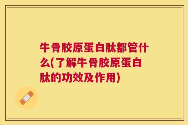 牛骨胶原蛋白肽都管什么(了解牛骨胶原蛋白肽的功效及作用) 牛骨胶原蛋白肽都管什么(了解牛骨胶原蛋白肽的功效及作用)