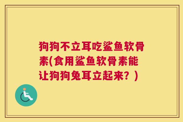 狗狗不立耳吃鲨鱼软骨素(食用鲨鱼软骨素能让狗狗兔耳立起来？)