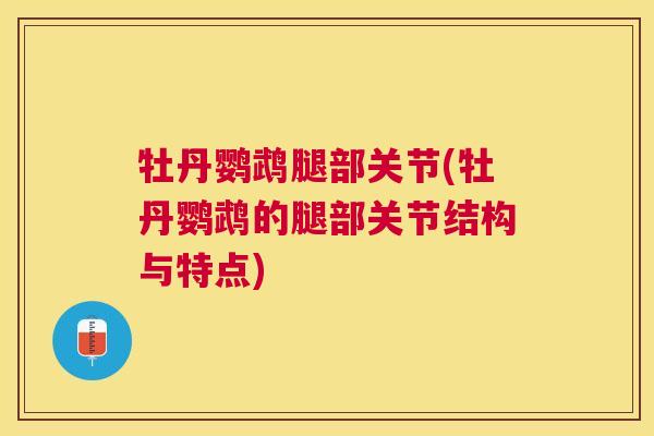 牡丹鹦鹉腿部关节(牡丹鹦鹉的腿部关节结构与特点)