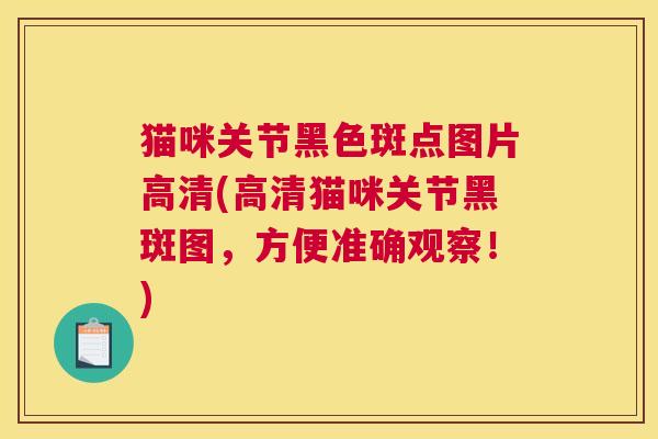 猫咪关节黑色斑点图片高清(高清猫咪关节黑斑图,方便准确观察!)