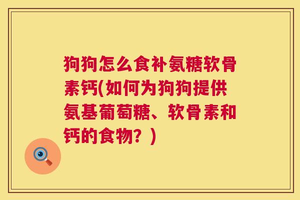 狗狗怎么食补氨糖软骨素钙(如何为狗狗提供氨基葡萄糖、软骨素和钙的食物？)