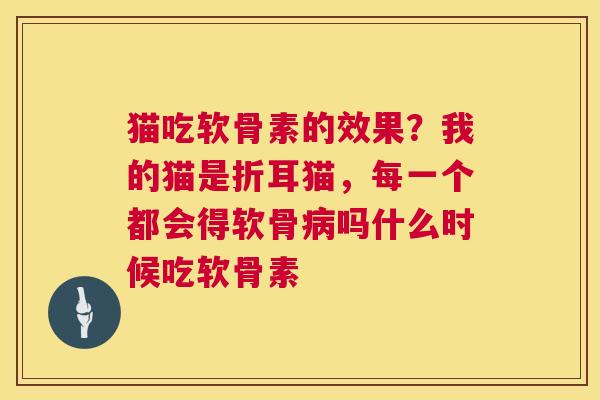 猫吃软骨素的效果?我的猫是折耳猫,每一个都会得软骨病吗什么时候吃软骨素