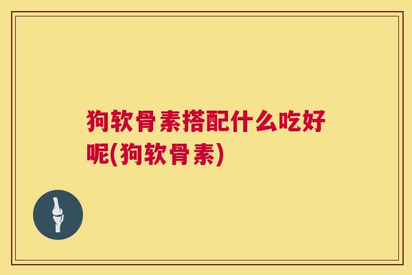 狗软骨素搭配什么吃好呢(狗软骨素)