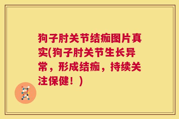 狗子肘关节结痂图片真实(狗子肘关节生长异常,形成结痂,持续关注保健!)