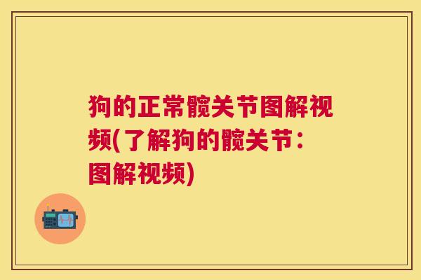 狗的正常髋关节图解视频(了解狗的髋关节:图解视频)