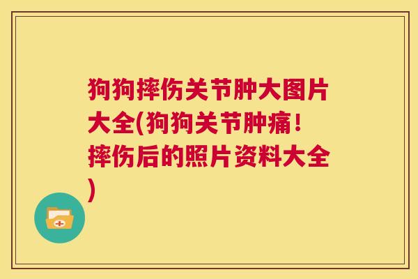 狗狗摔伤关节肿大图片大全(狗狗关节肿痛!摔伤后的照片资料大全) 狗狗摔伤关节肿大图片大全(狗狗关节肿痛!摔伤后的照片资料大全)