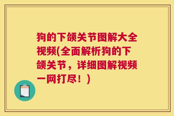 狗的下颌关节图解大全视频(全面解析狗的下颌关节,详细图解视频一网打尽!)