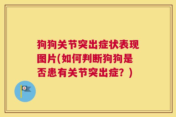 狗狗关节突出症状表现图片(如何判断狗狗是否患有关节突出症?) 狗狗关节突出症状表现图片(如何判断狗狗是否患有关节突出症?)