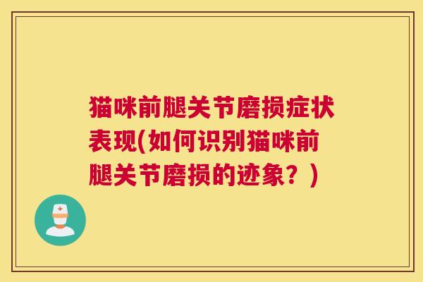 猫咪前腿关节磨损症状表现(如何识别猫咪前腿关节磨损的迹象？)
