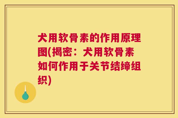 犬用软骨素的作用原理图(揭密：犬用软骨素如何作用于关节结缔组织)