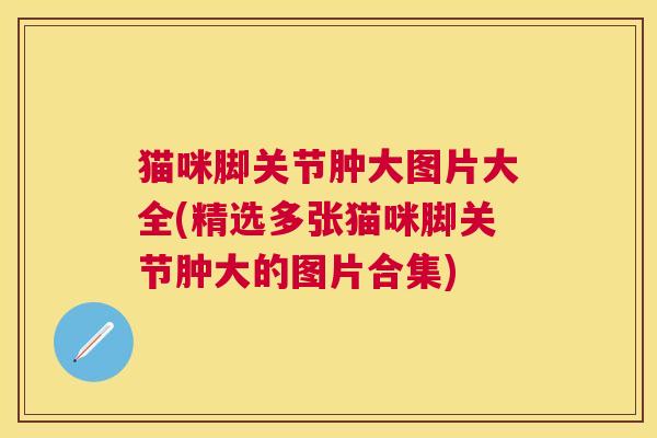 猫咪脚关节肿大图片大全(精选多张猫咪脚关节肿大的图片合集) 猫咪脚关节肿大图片大全(精选多张猫咪脚关节肿大的图片合集)