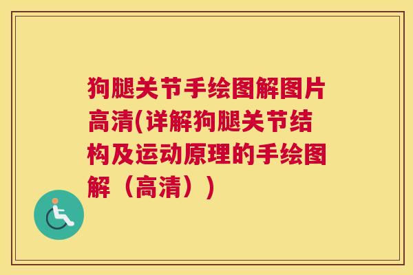 狗腿关节手绘图解图片高清(详解狗腿关节结构及运动原理的手绘图解(高清)) 狗腿关节手绘图解图片高清(详解狗腿关节结构及运动原理的手绘图解(高清))