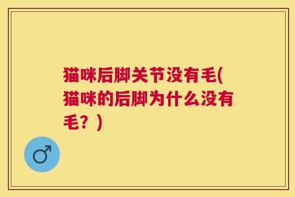 猫咪后脚关节没有毛(猫咪的后脚为什么没有毛?)