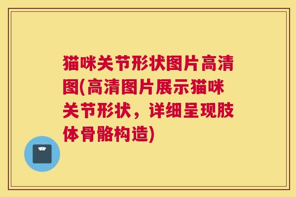 猫咪关节形状图片高清图(高清图片展示猫咪关节形状，详细呈现肢体骨骼构造)