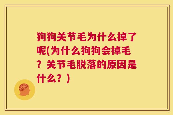 狗狗关节毛为什么掉了呢(为什么狗狗会掉毛？关节毛脱落的原因是什么？)
