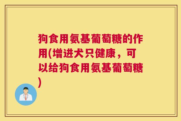 狗食用氨基葡萄糖的作用(增进犬只健康,可以给狗食用氨基葡萄糖)