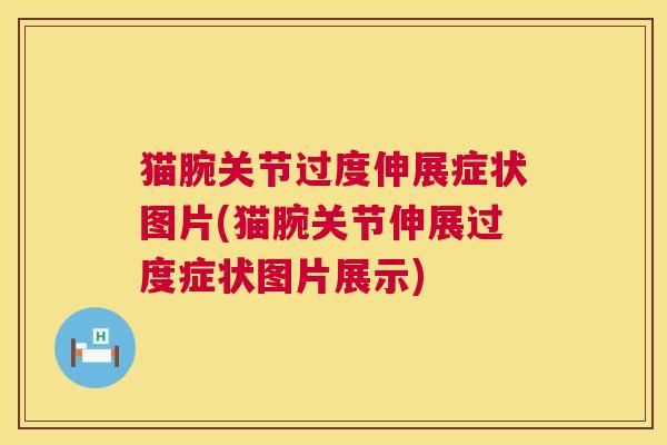 猫腕关节过度伸展症状图片(猫腕关节伸展过度症状图片展示) 猫腕关节过度伸展症状图片(猫腕关节伸展过度症状图片展示)