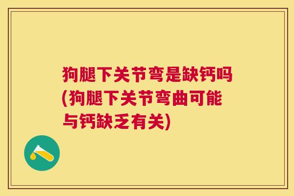 狗腿下关节弯是缺钙吗(狗腿下关节弯曲可能与钙缺乏有关)