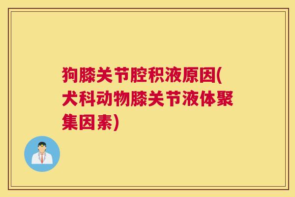 狗膝关节腔积液原因(犬科动物膝关节液体聚集因素)