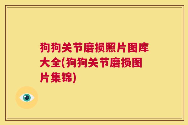 狗狗关节磨损照片图库大全(狗狗关节磨损图片集锦)