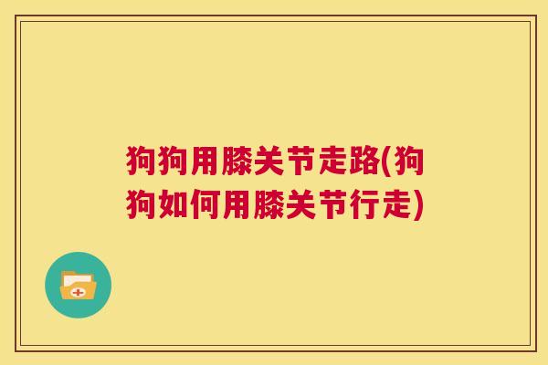 狗狗用膝关节走路(狗狗如何用膝关节行走) 狗狗用膝关节走路(狗狗如何用膝关节行走)