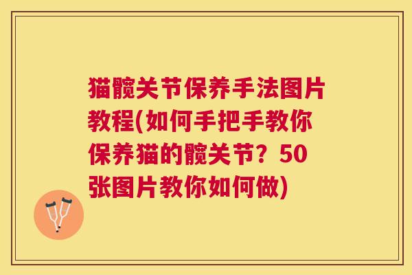 猫髋关节保养手法图片教程(如何手把手教你保养猫的髋关节？50张图片教你如何做)