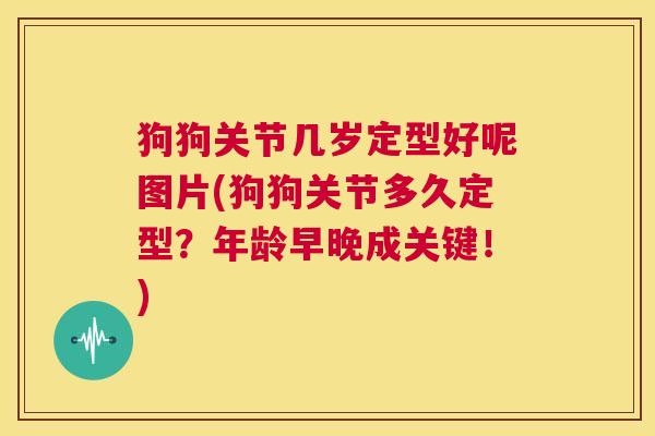 狗狗关节几岁定型好呢图片(狗狗关节多久定型?年龄早晚成关键!)