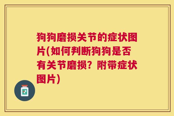 狗狗磨损关节的症状图片(如何判断狗狗是否有关节磨损?附带症状图片)