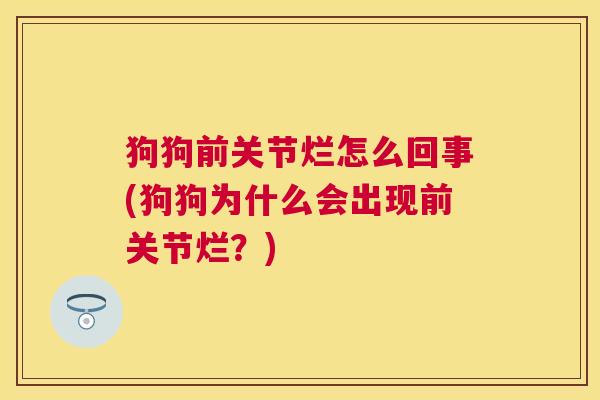 狗狗前关节烂怎么回事(狗狗为什么会出现前关节烂？)