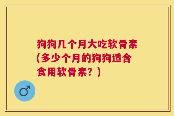 狗狗几个月大吃软骨素(多少个月的狗狗适合食用软骨素?) 狗狗几个月大吃软骨素(多少个月的狗狗适合食用软骨素?)