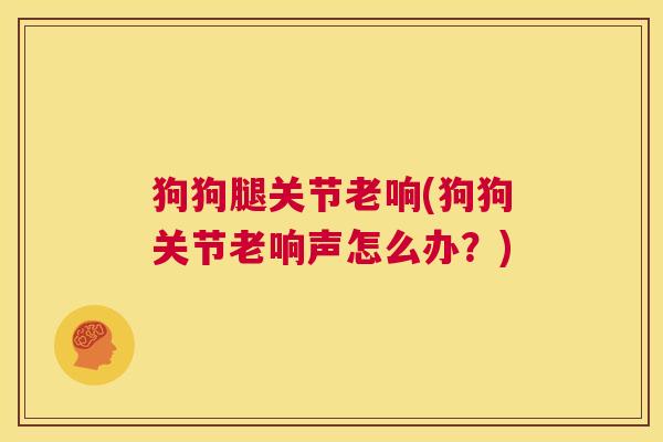 狗狗腿关节老响(狗狗关节老响声怎么办?)