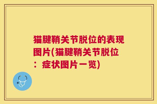 猫腱鞘关节脱位的表现图片(猫腱鞘关节脱位:症状图片一览)