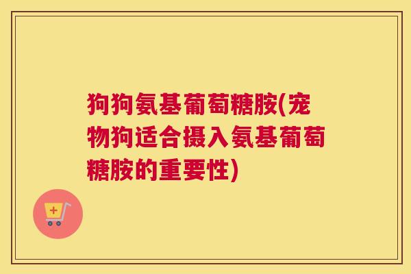 狗狗氨基葡萄糖胺(宠物狗适合摄入氨基葡萄糖胺的重要性)