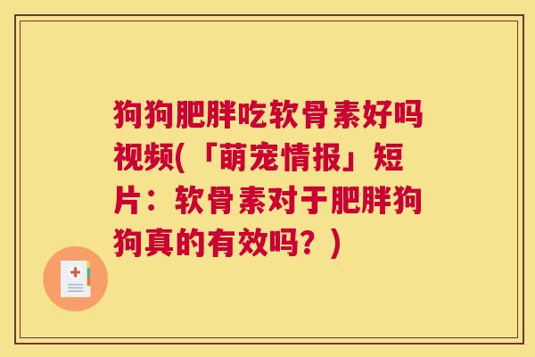 狗狗肥胖吃软骨素好吗视频(「萌宠情报」短片:软骨素对于肥胖狗狗真的有效吗?)
