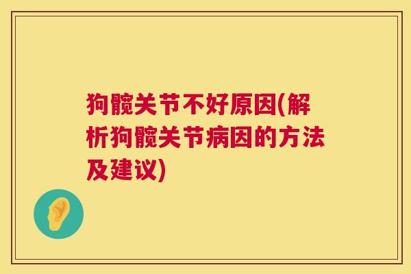 狗髋关节不好原因(解析狗髋关节病因的方法及建议)