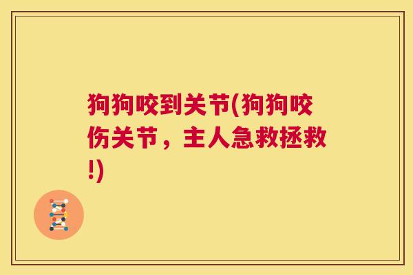 狗狗咬到关节(狗狗咬伤关节,主人急救拯救!)