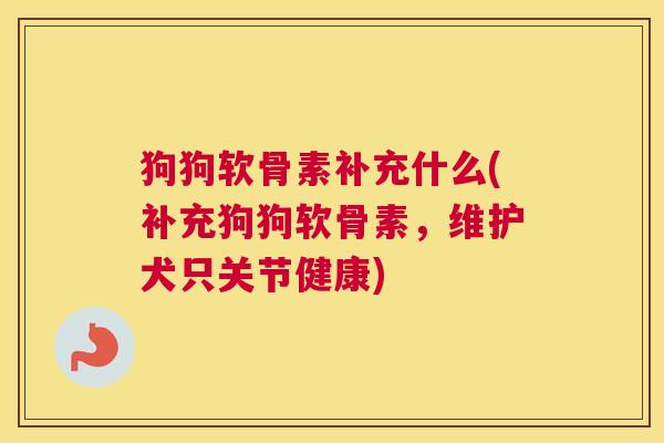 狗狗软骨素补充什么(补充狗狗软骨素，维护犬只关节健康)