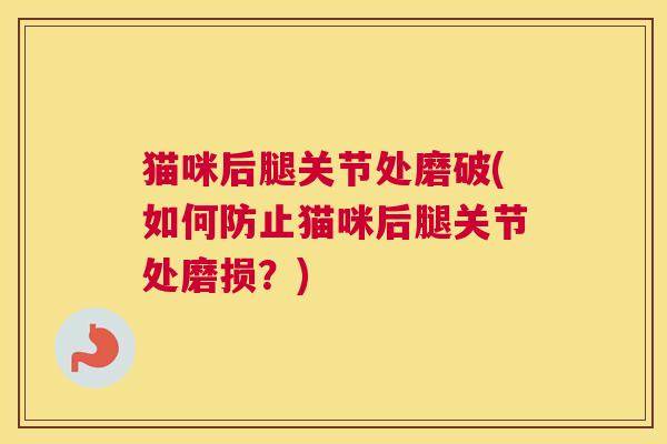 猫咪后腿关节处磨破(如何防止猫咪后腿关节处磨损？)